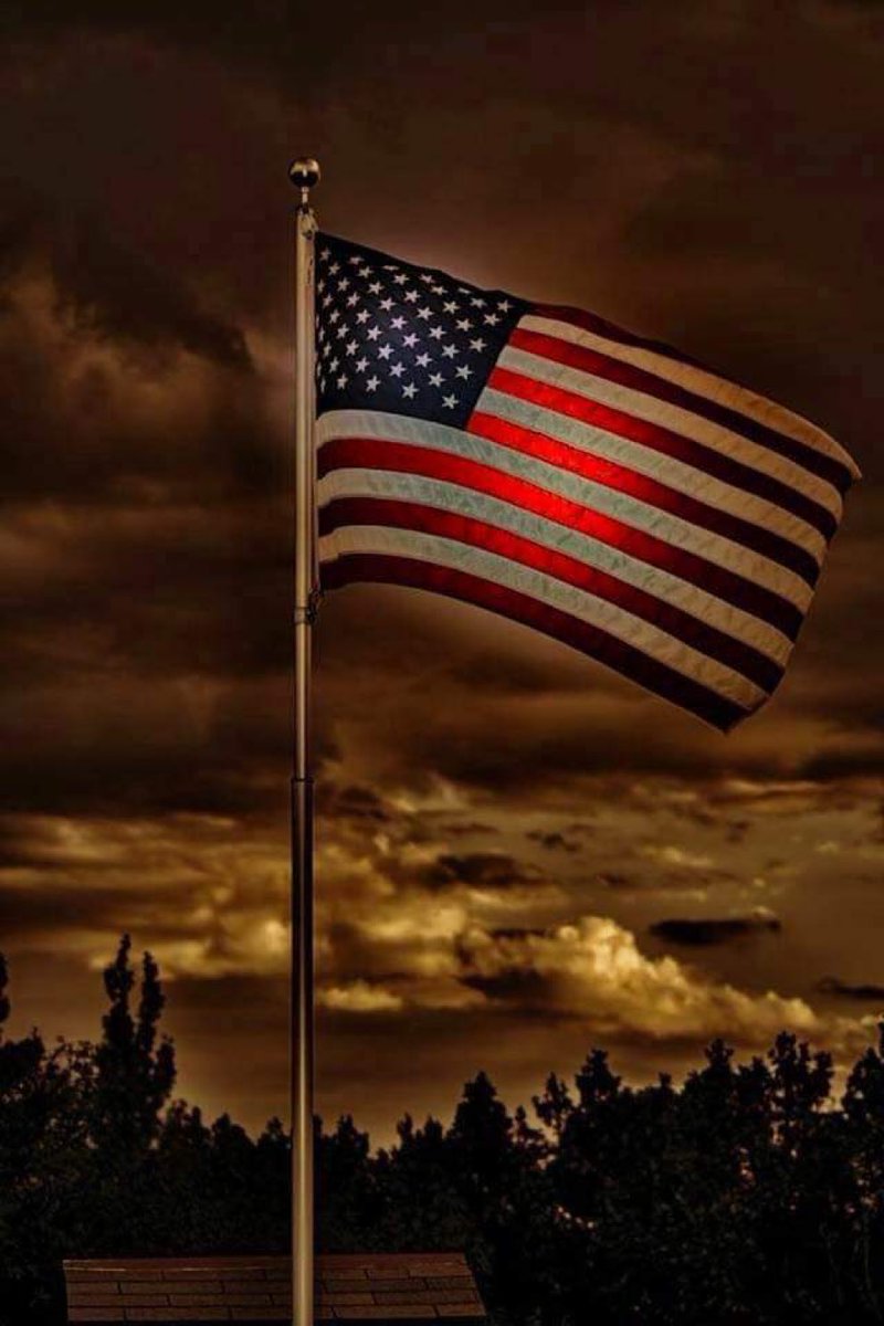 TripleTRanch 🇺🇸 tweet media