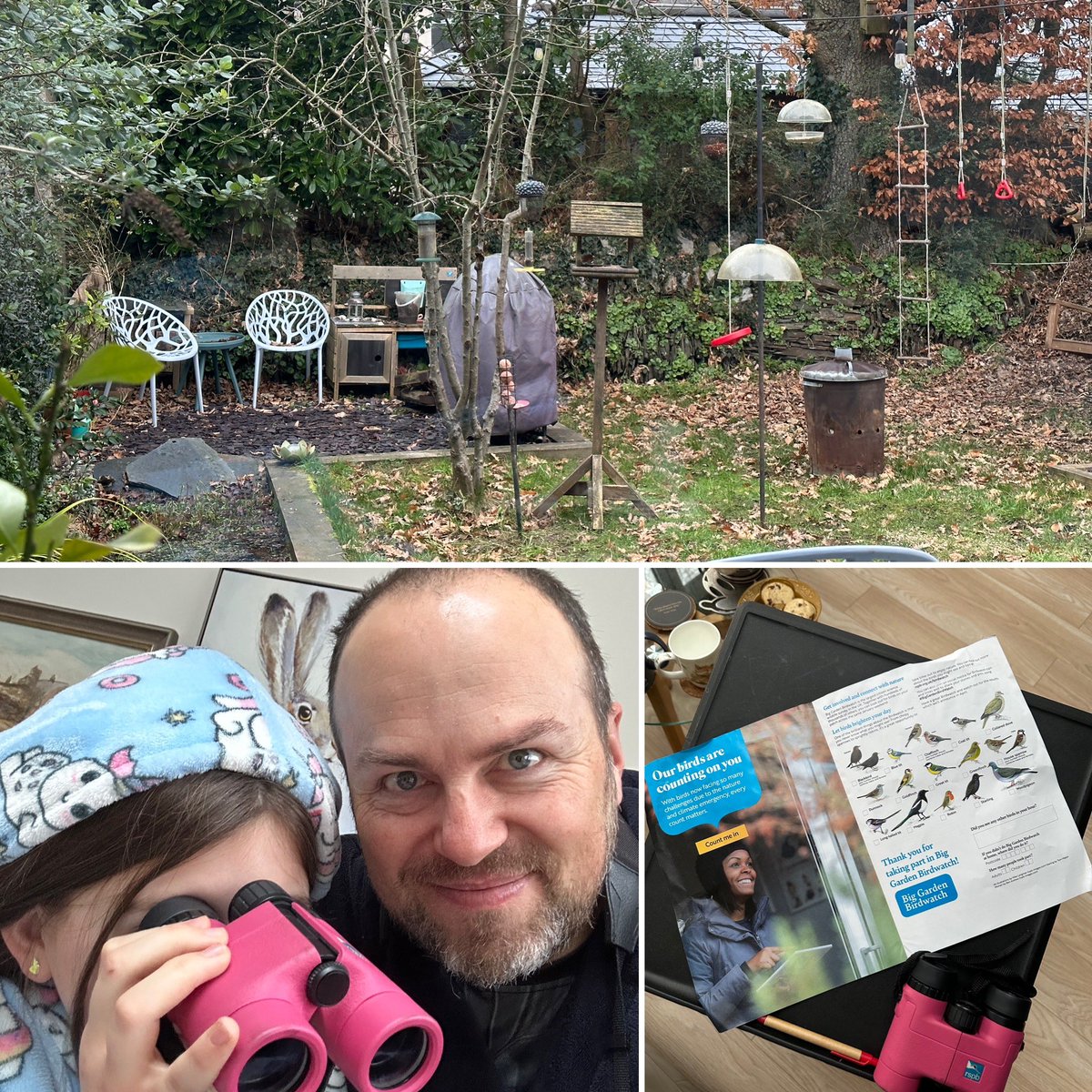 HaynesBrown's tweet photo. @RSPBEngland  #BigGardenBirdWatch2023 in full swing in the HB household, usual refreshments at the ready! Female Blackcap, Jenny Wren and Long Tailed Tits the highlight so far 👌 https://t.co/7u92oWUzIq