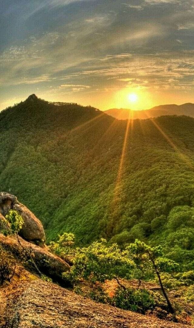 mibileo's tweet photo. Great is the Lord, and greatly to be praised in the city of our God, in the mountain of his holiness.

~ Psalms 48:1

🤲🏽☀️💛🧡⛰✨

#praise #God #worship
#PraiseHim #PraiseGod
#SundayMorning 
#sundaysongbook https://t.co/Uq8lInoXpy