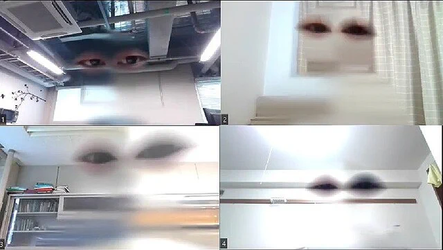 顔全体を映すよりも恥ずかしさ低減？目や口だけを表示するリモート会議