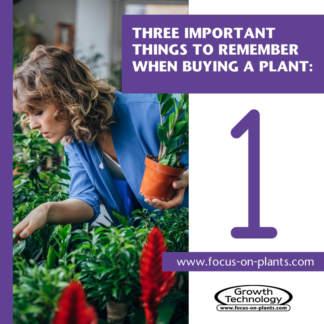 Focus On Plants tweet media