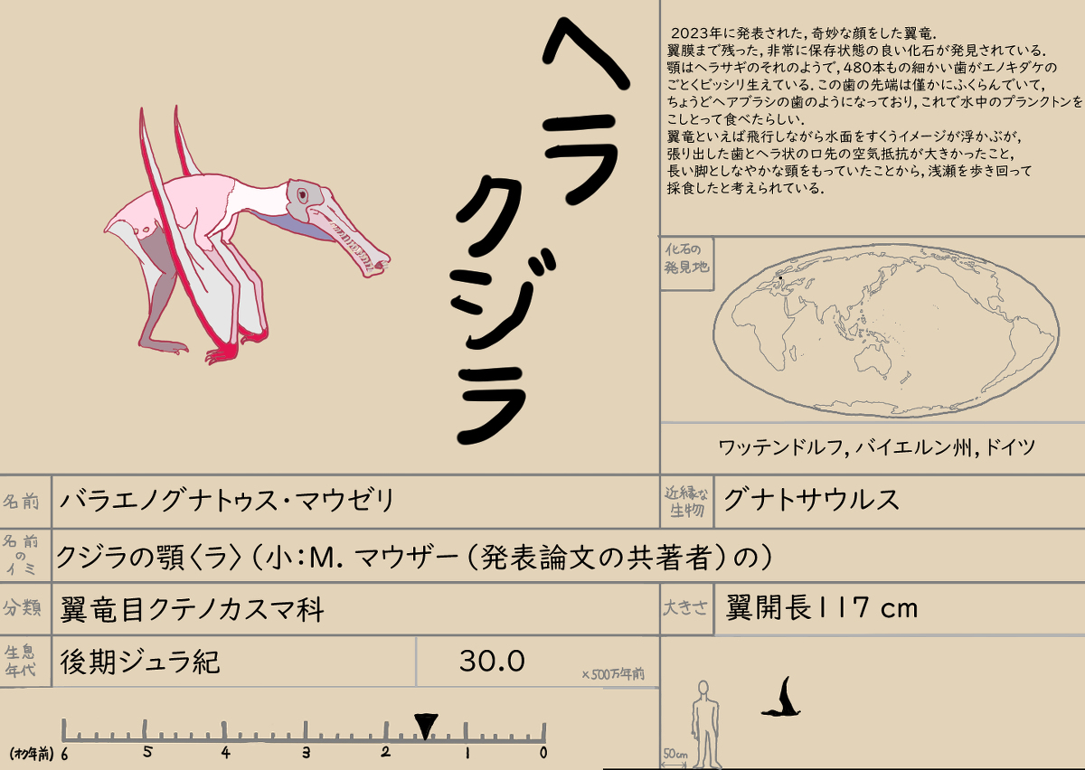 ヘラサギとクジラの間 バラエノグナトゥス #やんわりッ古生物 #翼竜 #古生物 #バラエノグナトゥス #バラエノグナトゥス・マウゼリ #クテノカスマ科 https://t.co/4RU1CwilhE