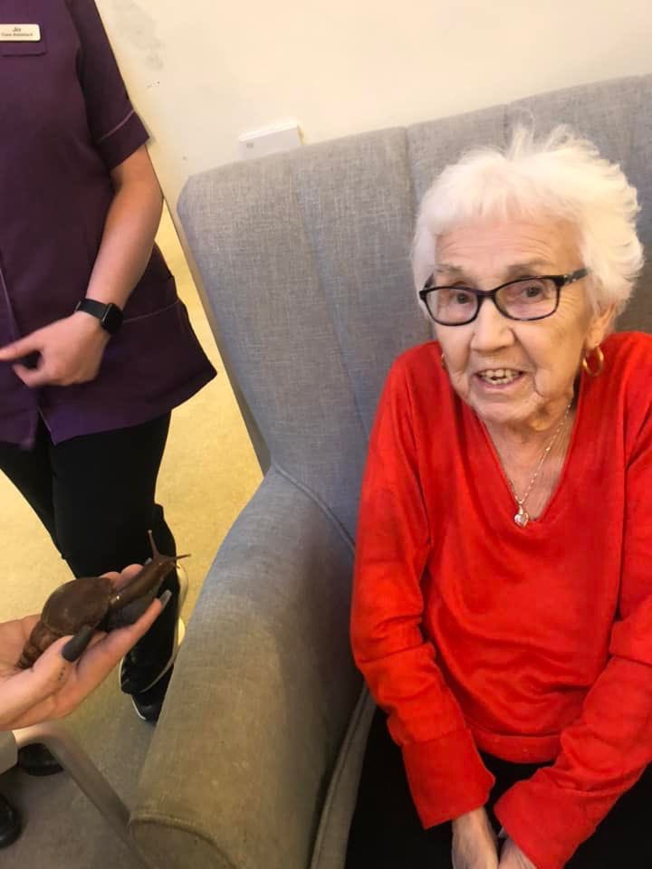 HeatherValeAH's tweet photo. Last week we were joined by @ZooLabUK introducing us to some of their lovely animals. Our residents were very brave and learnt a lot about each one. 🐍🕷️🦎🪳🪲🐌 #Animals #Learning #Touch #Sensory #ZooLab #HeatherVale #Engagement https://t.co/tZlO0o0MdB