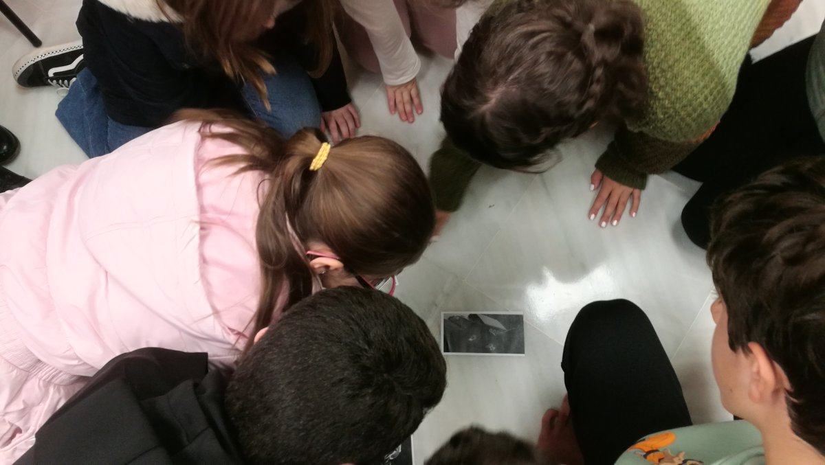 StJamesLanguageCente tweet media