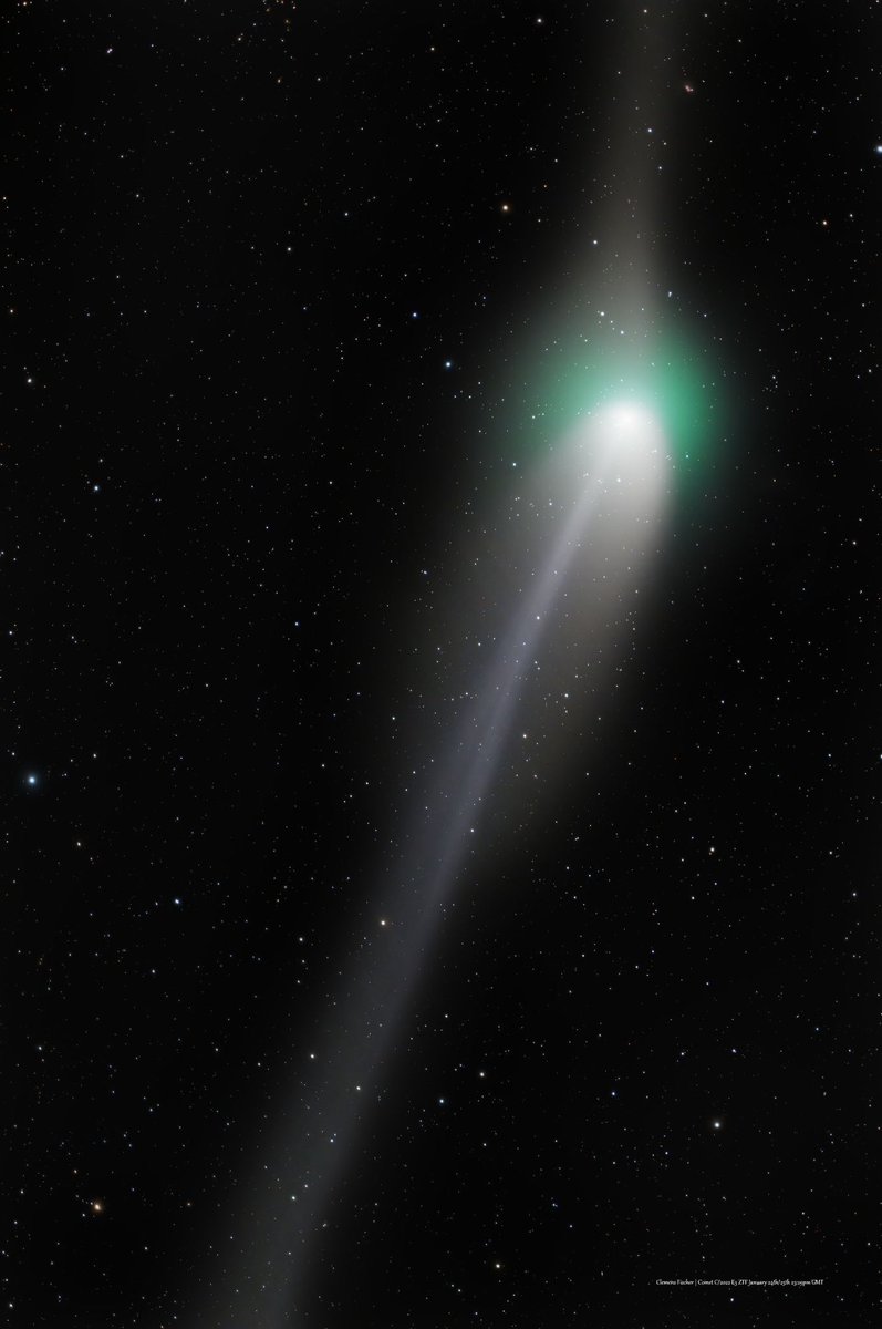 Clemens Fischer tweet media