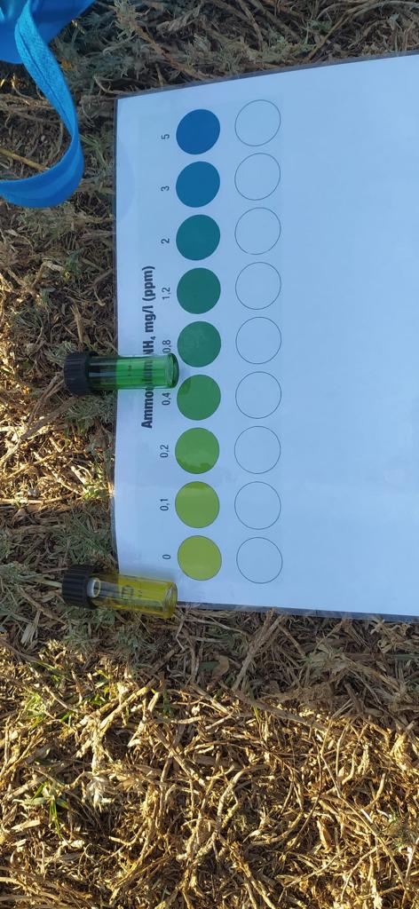 grasisoler's tweet photo. Va ser un dia ple d’emocions i vam aprendre que com més a baix ens trobem del riu més contaminació arrossega. Experimentem, prenem mostres, reflexionem sobre la contaminació que generem les persones i com afecta al nostre entorn natural.
#projecteaigua
#elriuésvida https://t.co/QT4x9reXHv