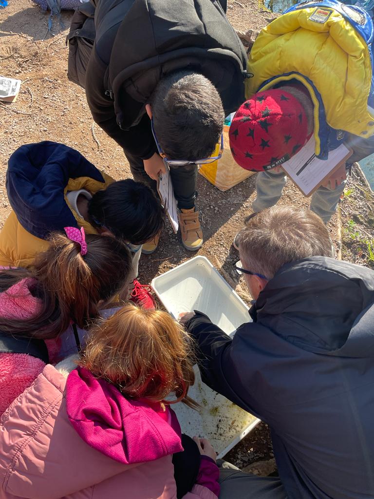 grasisoler's tweet photo. Va ser un dia ple d’emocions i vam aprendre que com més a baix ens trobem del riu més contaminació arrossega. Experimentem, prenem mostres, reflexionem sobre la contaminació que generem les persones i com afecta al nostre entorn natural.
#projecteaigua
#elriuésvida https://t.co/QT4x9reXHv