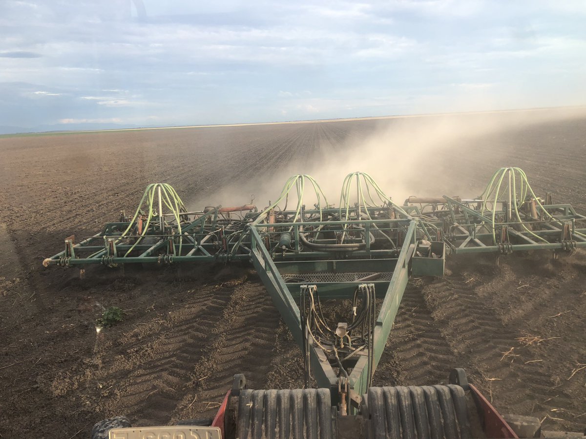 Used to be Group S… not sure of the number in the new classification system. Seems to be little resistance to it yet.