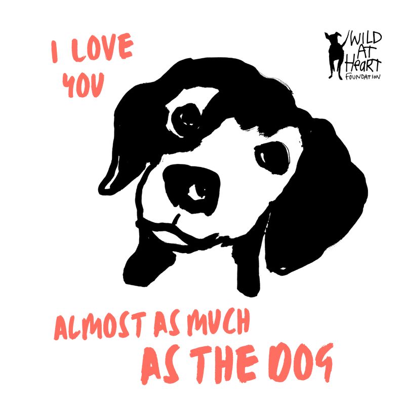 Wild at Heart Foundation tweet media