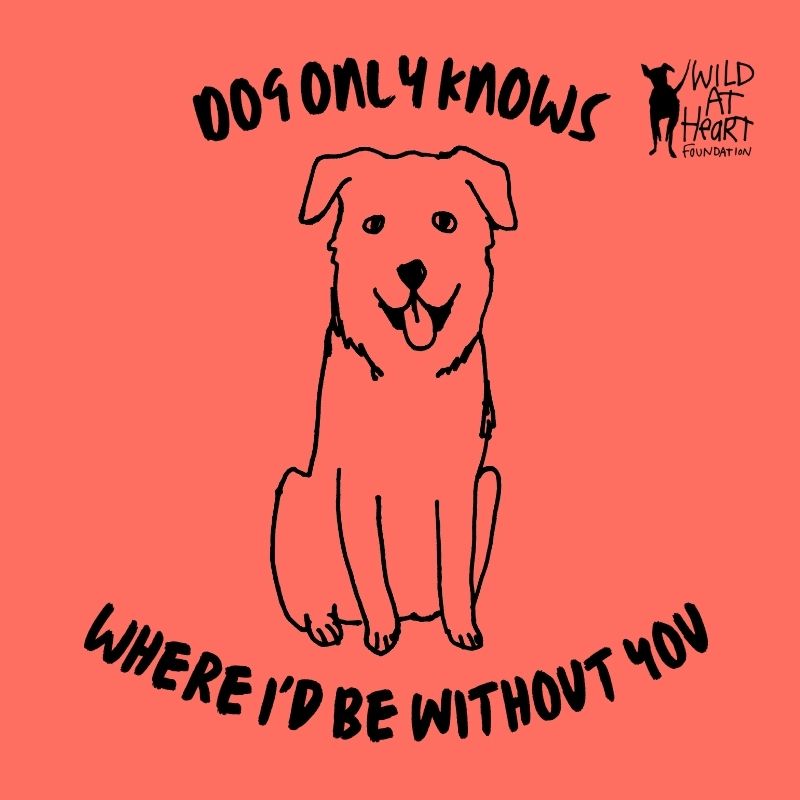 MY FUNNY VALENTINE
This Valentine’s Day send your love to someone special, and do good for stray dogs in need at the same time. Simply choose from four designs, add your note, enter your recipient, donate and schedule to send!
Get off your paws &amp; order via shorturl.at/cJKN4