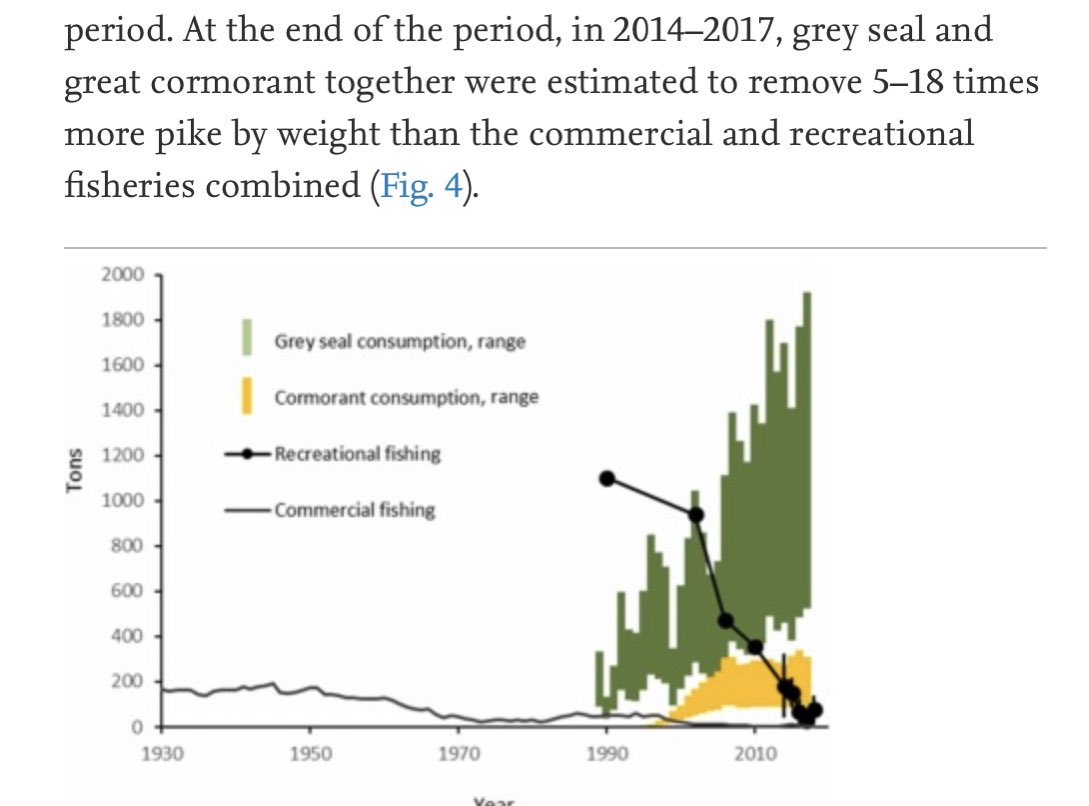 SLU rapporterar om kraftig nedgång  i gäddbeståndet. HaV upprättar förvaltningsplaner men det ankommer på mark och vattenägare att genomföra skydds och licensjakten utan ersättning. Svårt o missa vart gäddorna tagit vägen?