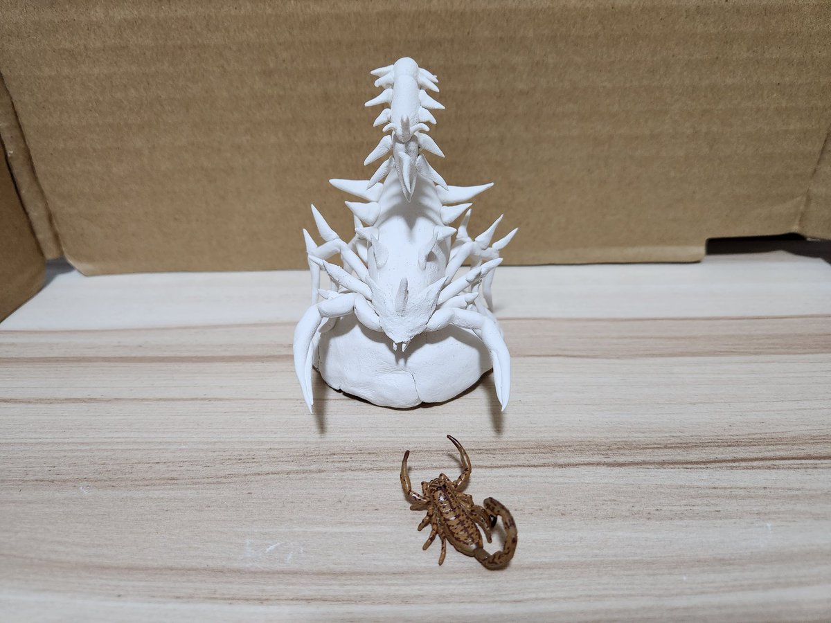 Bull.Falcon on Twitter 