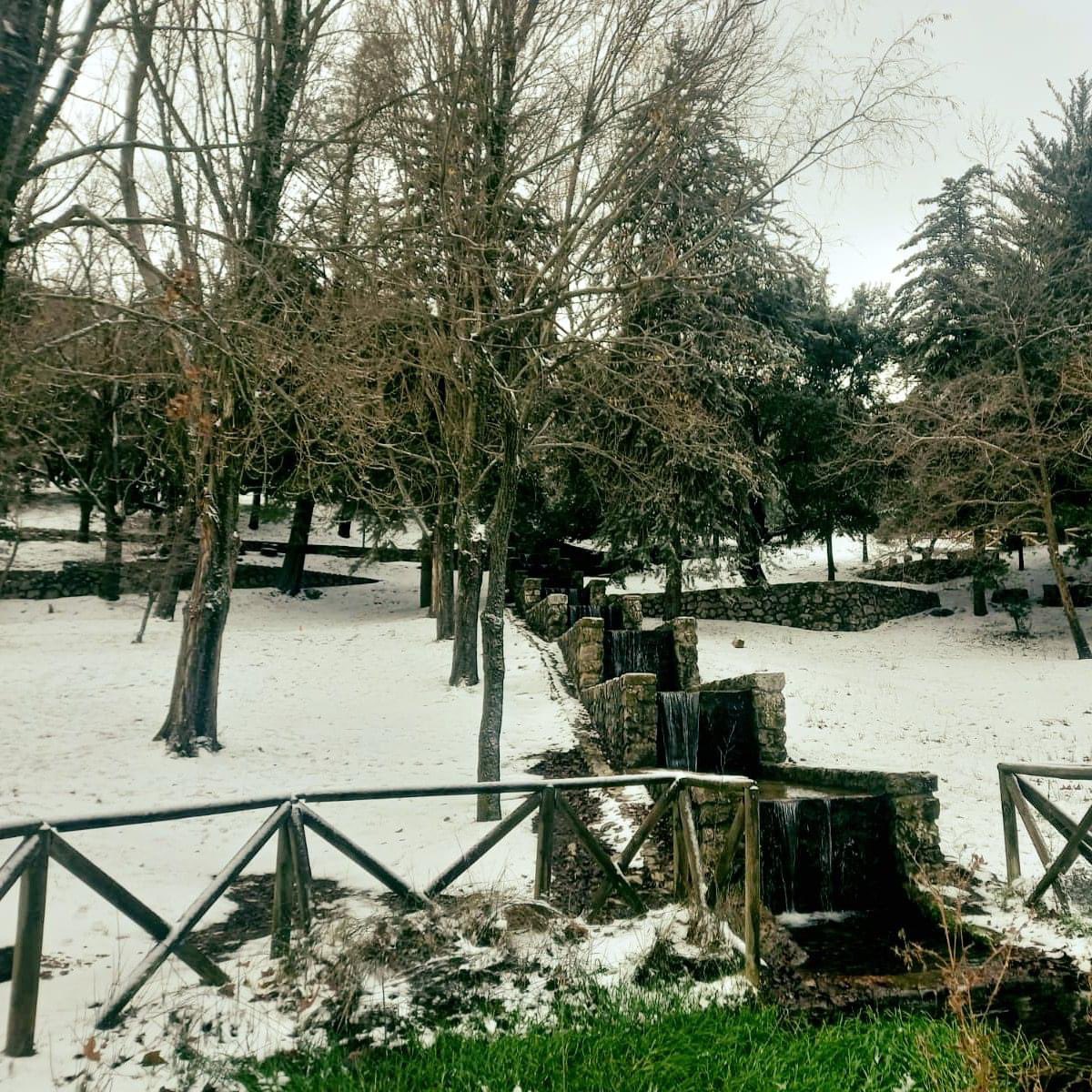 D.O.P. Sierra Mágina tweet media