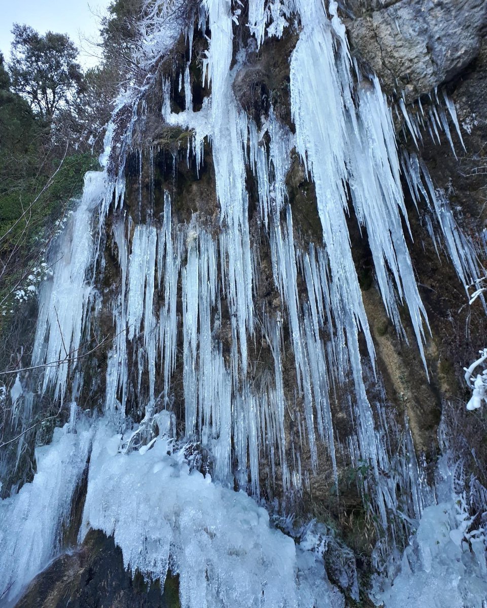 D.O.P. Sierra Mágina tweet media