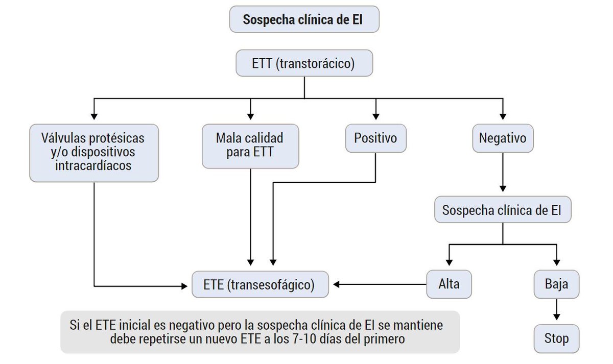 PROMIR_esp's tweet photo. ¿Quieres ver cómo es el interior del manual #PROMIR de #EnfermedadesInfecciosas 📚 ?Aquí tienes un capítulo de muestra 📲 https://t.co/fMy8PuhfnO
🚚 ¡Sin gastos de envío!
Contáctanos y te contamos todo:
📩 Email: info@promir.es
✅ WhatsApp: +34 626 67 39 51 https://t.co/MNxlEx0aFH