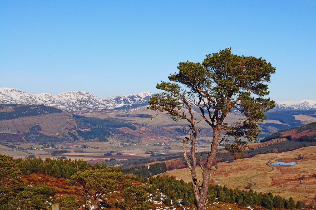 Take time to appreciate nature 💚 When you’re out exploring our countryside, stop for a minute to enjoy the fresh air, the sounds of nature and the beauty 🌳

#VisitAberfeldy #TurnOffTheA9 #RespectProtectEnjoy #Sunday #ConnectWithNature #Wellbeing