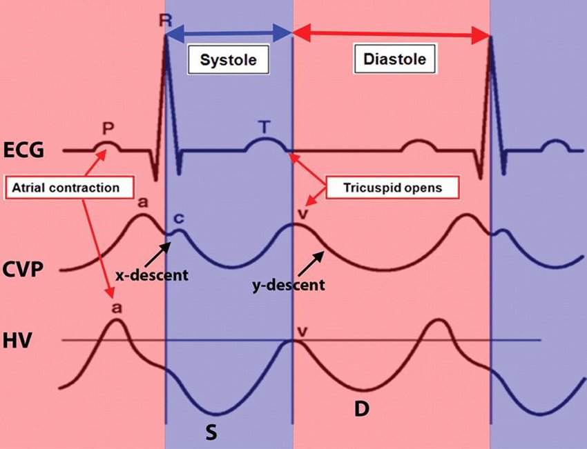 thread-by-ciraulovincenzo-on-thread-reader-app-thread-reader-app