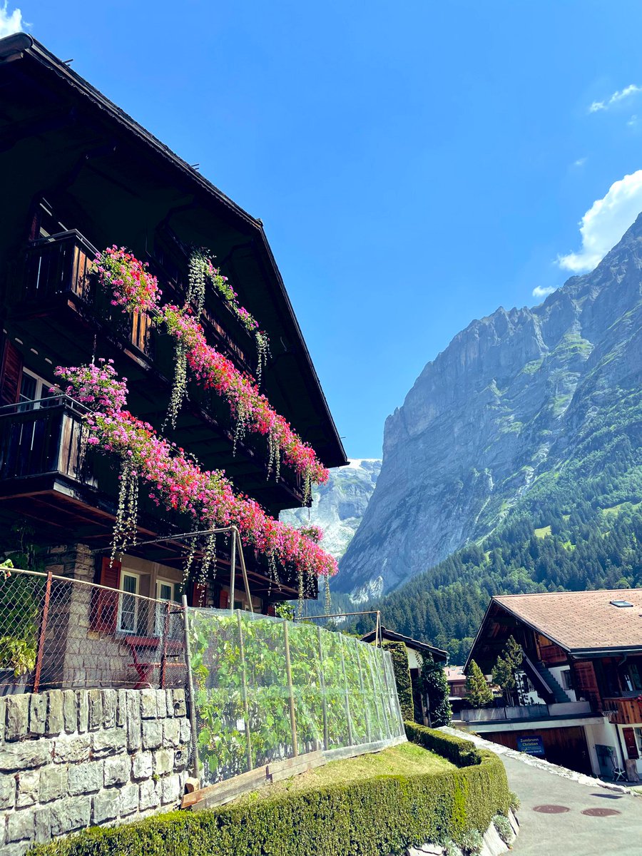 Huda🌸 tweet media