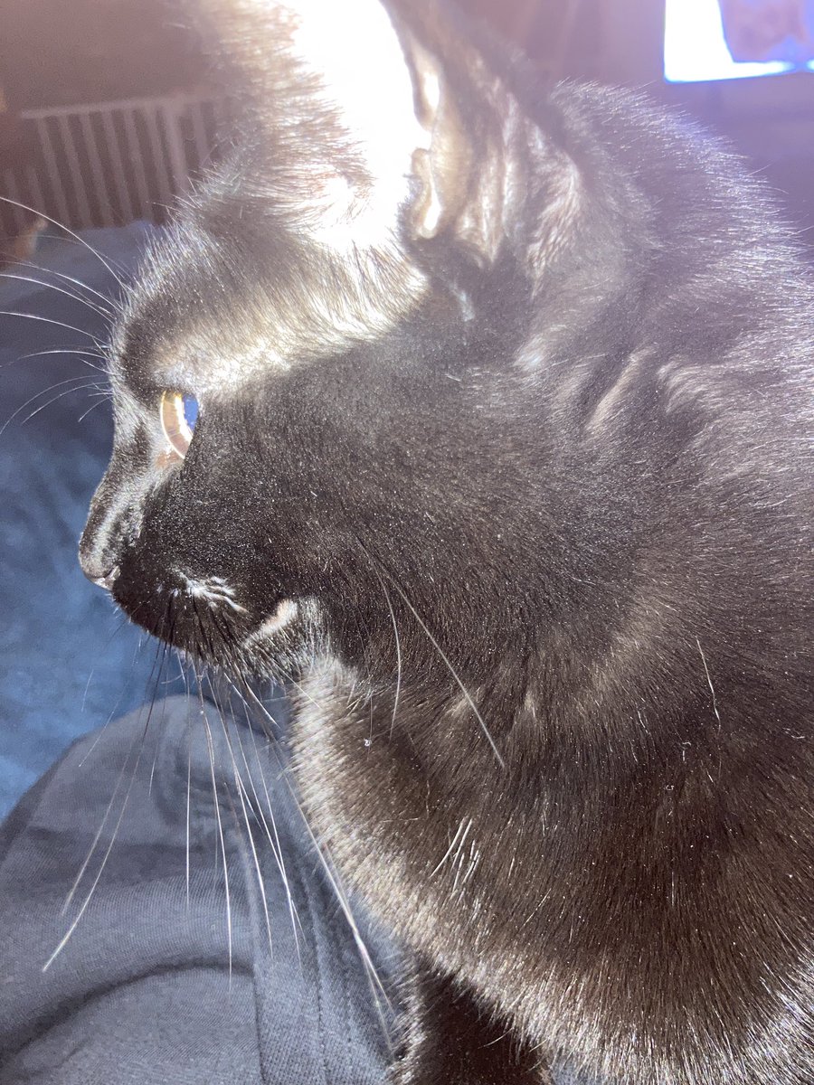 hi