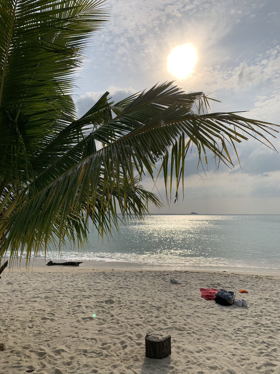 Bitcoin Hotel tweet media