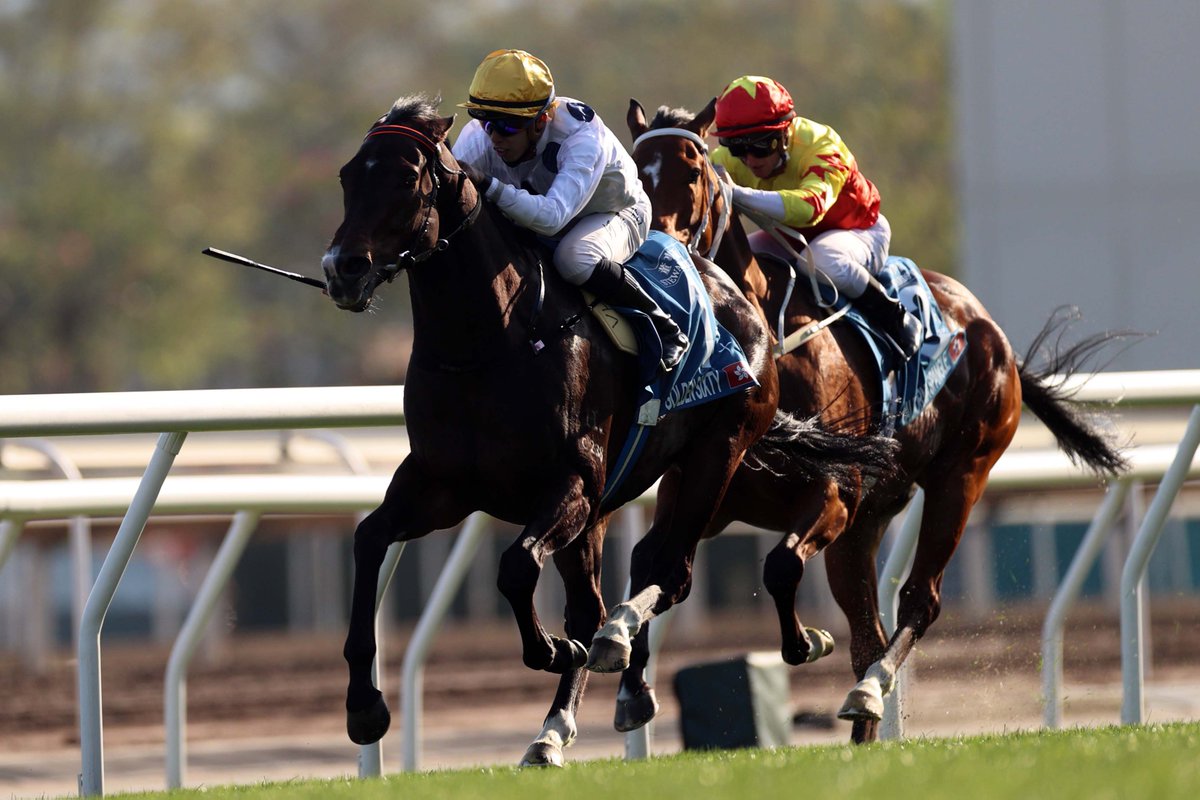 Look at him go! 🔥 Golden Sixty rips to a second Stewards' Cup success ...