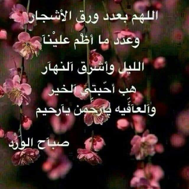 أكلات ستي الاقتصادية tweet media