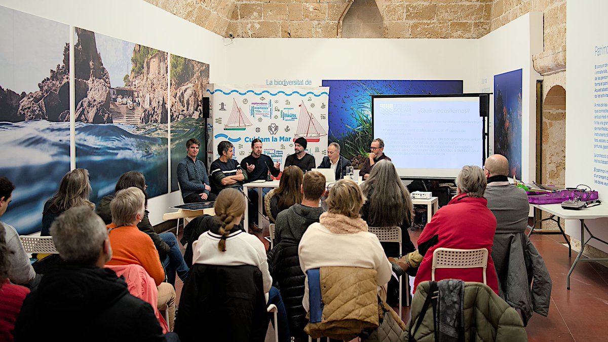 Regata Solar Illes Balears tweet media