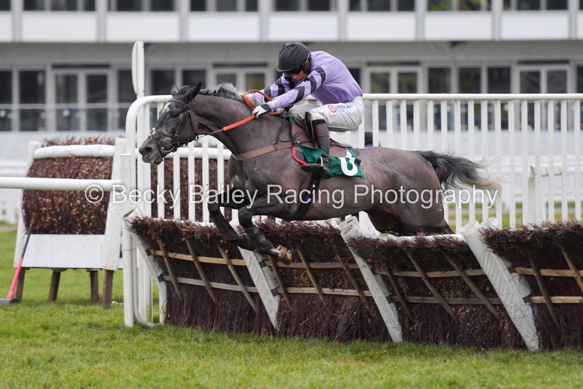 BecsBailey's tweet photo. Completing a treble on the day for trainer @PFNicholls, HACKER DES PLACES (Great Pretender) and @CheledaAngus are clear over the last to win the SSS Super Alloys Handicap Hurdle @CheltenhamRaces for @ownersgroupuk 068. https://t.co/1wkHoiibHW