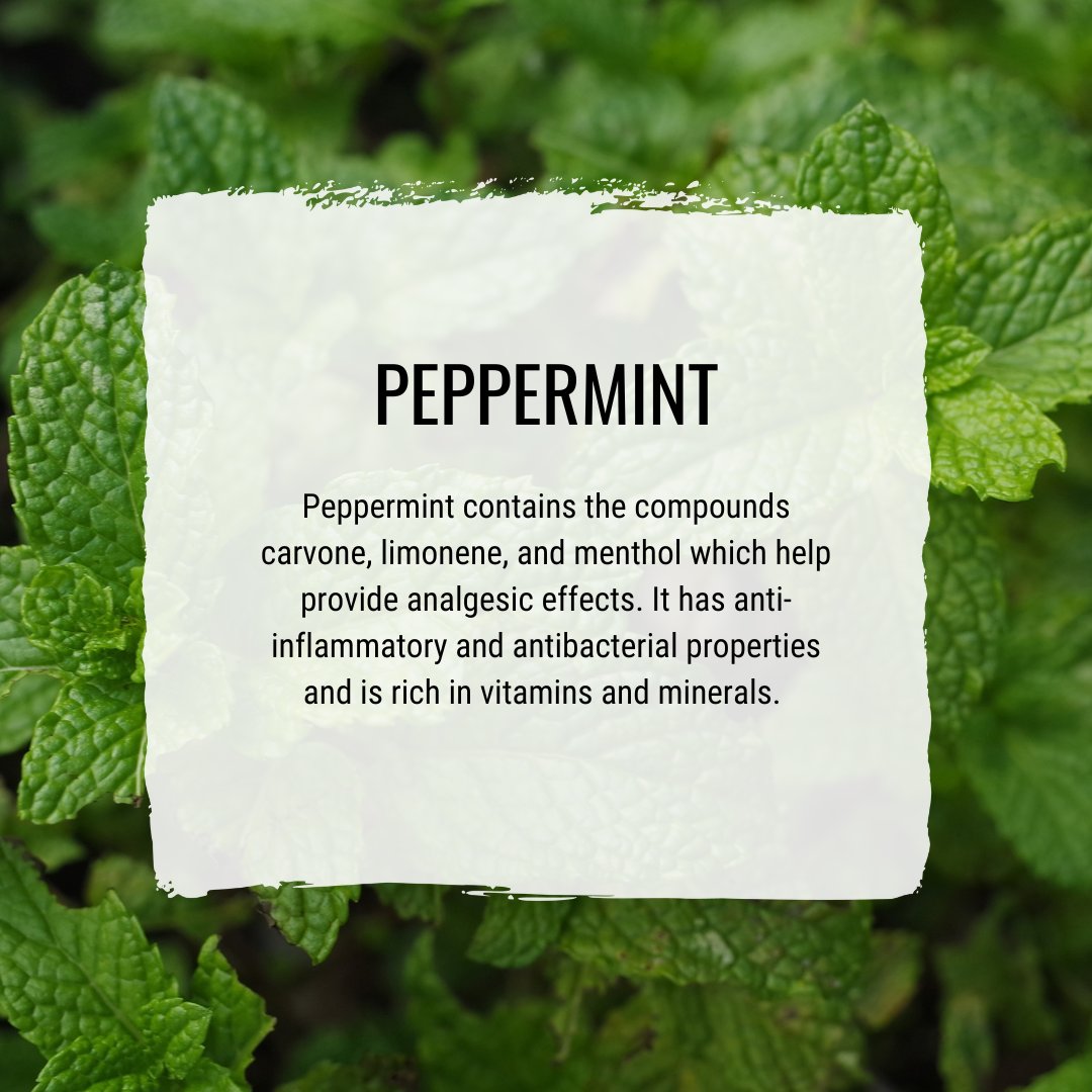 truthpasteUK's tweet image. Did you know that many of the oils we use have analgesic or pain-relieving properties?

Truthpaste can help support gum health and is suitable if you have sensitive teeth.

#nature #sensitiveteeth #essentialoils #oralcare #selfcare #healthandbeauty #wellness #beauty