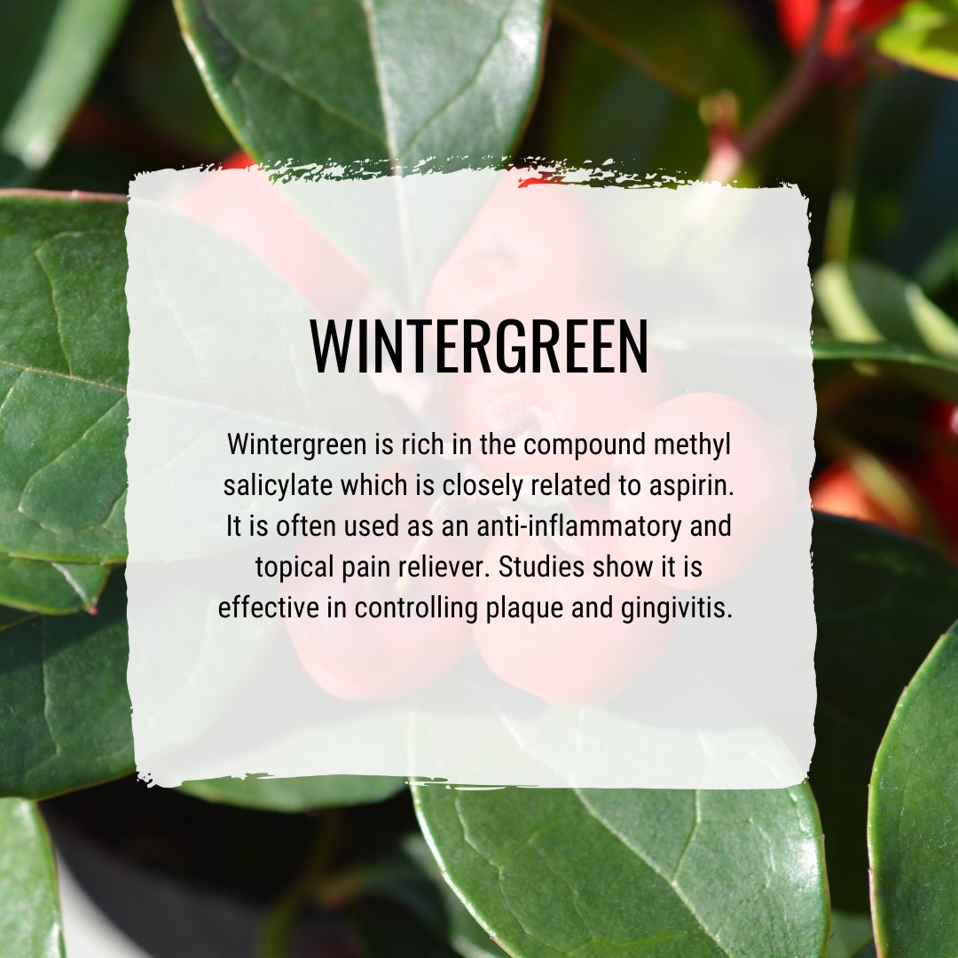 truthpasteUK's tweet image. Did you know that many of the oils we use have analgesic or pain-relieving properties?

Truthpaste can help support gum health and is suitable if you have sensitive teeth.

#nature #sensitiveteeth #essentialoils #oralcare #selfcare #healthandbeauty #wellness #beauty