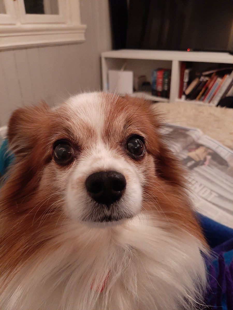 ArchaeologistsEngage tweet media