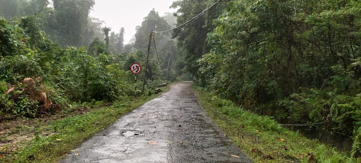 AC_Campbellbay's tweet photo. Great #TeamEffort by various departments in lifting of fallen tree on road and ascertained smooth flow of traffic.  @DC_Nicobars @Andaman_Admin https://t.co/001yOYnRkz