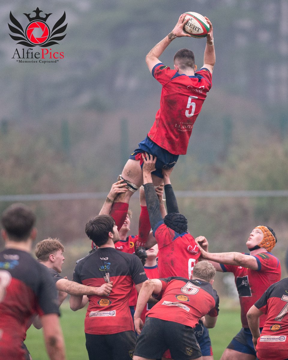 Alfiepics tweet media