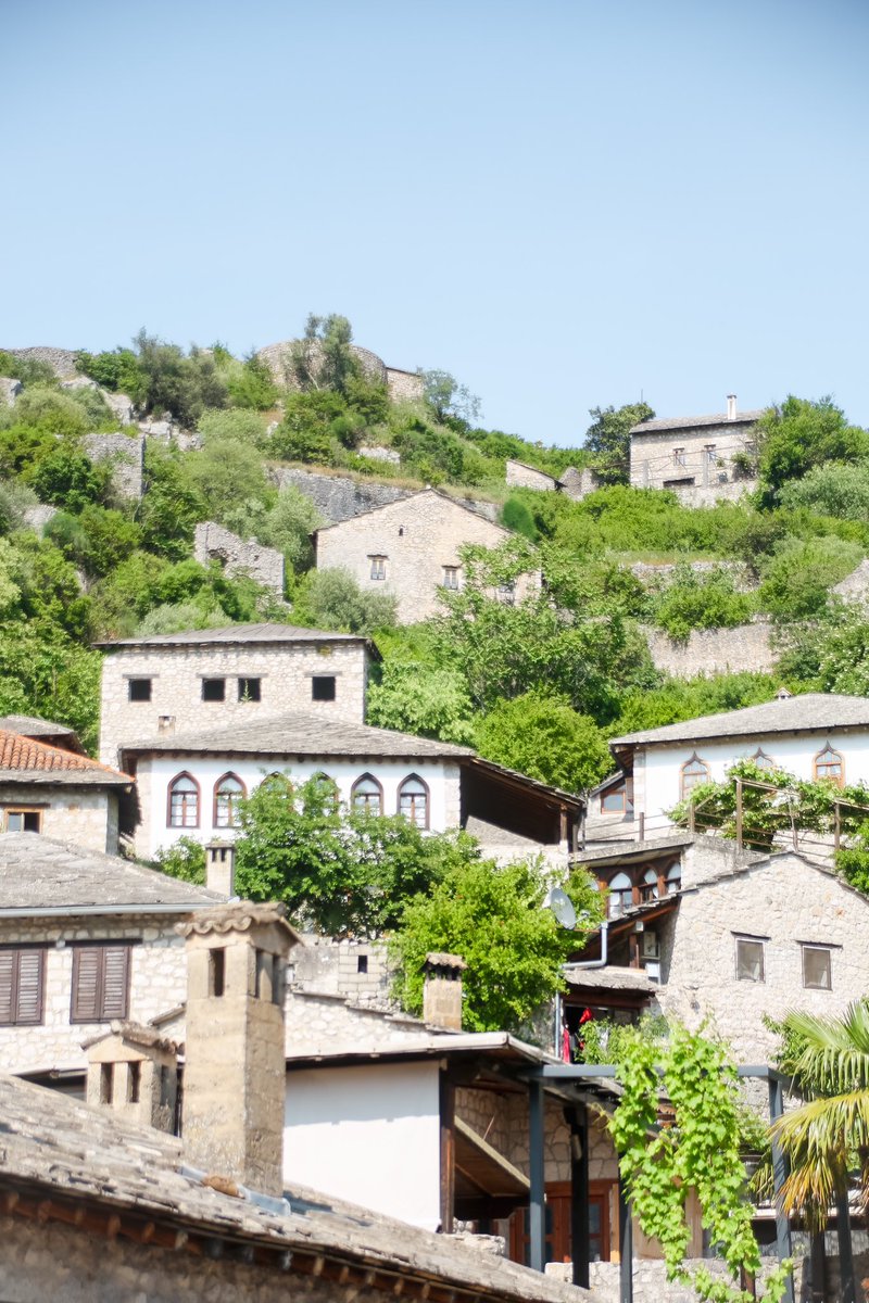 Sights Of Sara tweet media