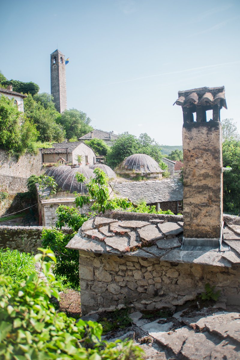 Sights Of Sara tweet media