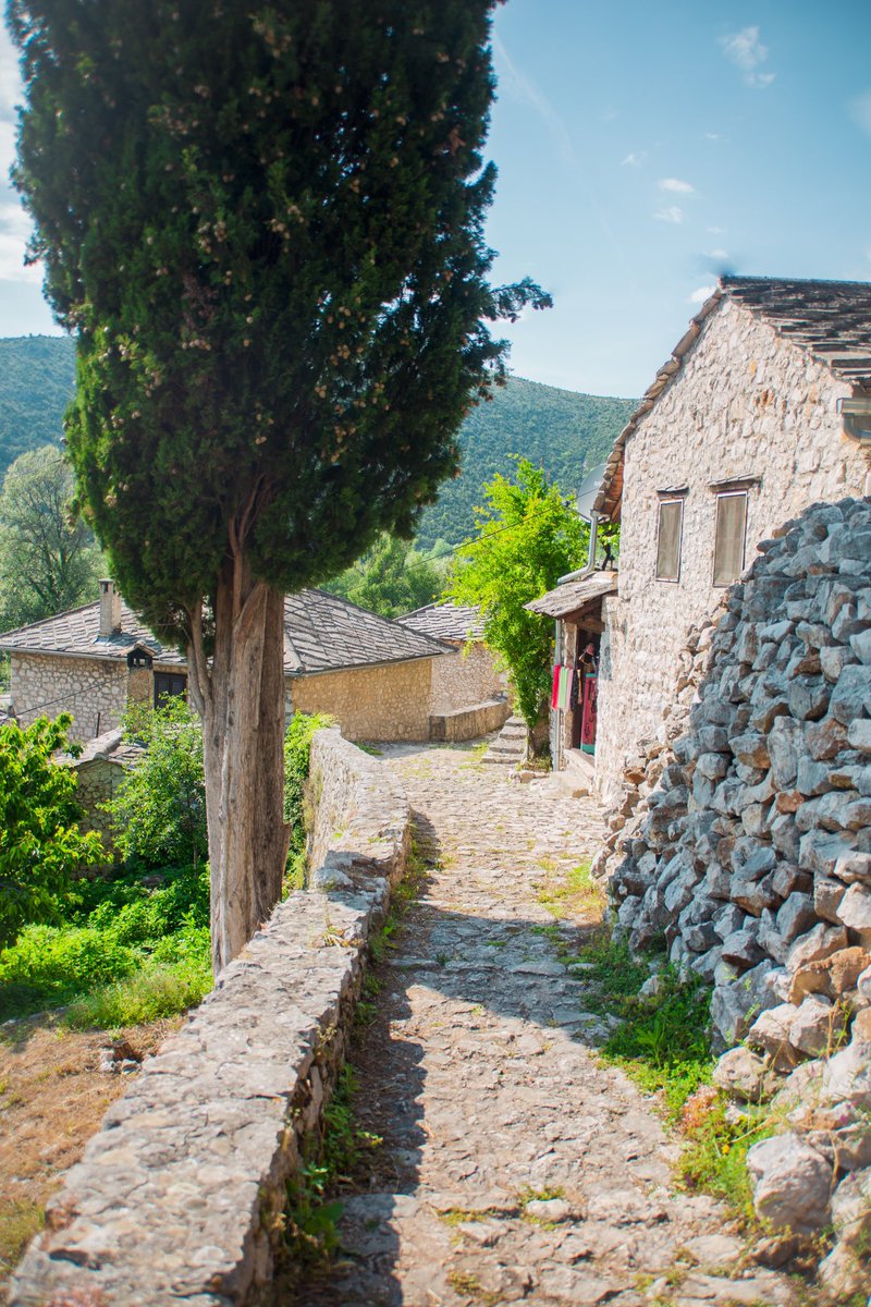 Sights Of Sara tweet media