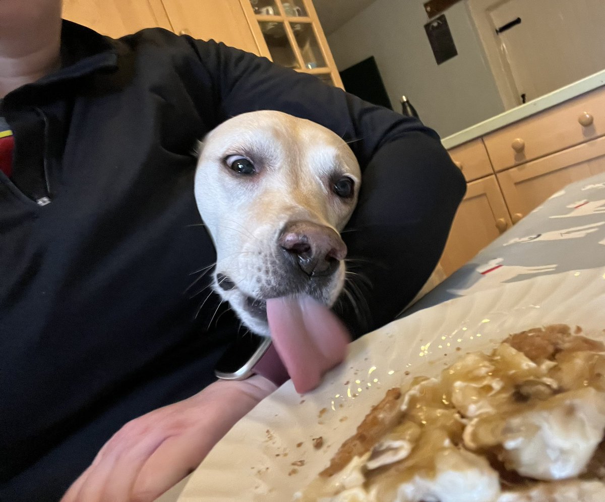 I took a risk, it almost paid off