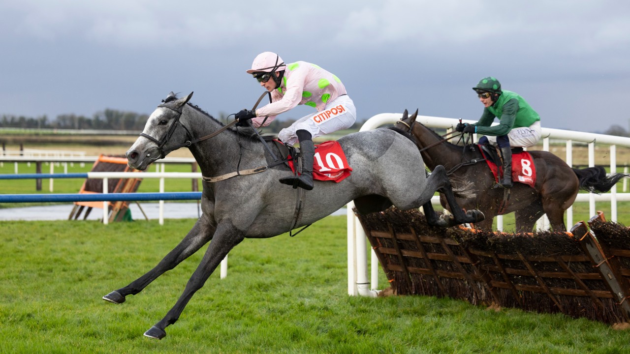 Road To Cheltenham on Twitter "Rich Ricci on LOSSIEMOUTH "She's a