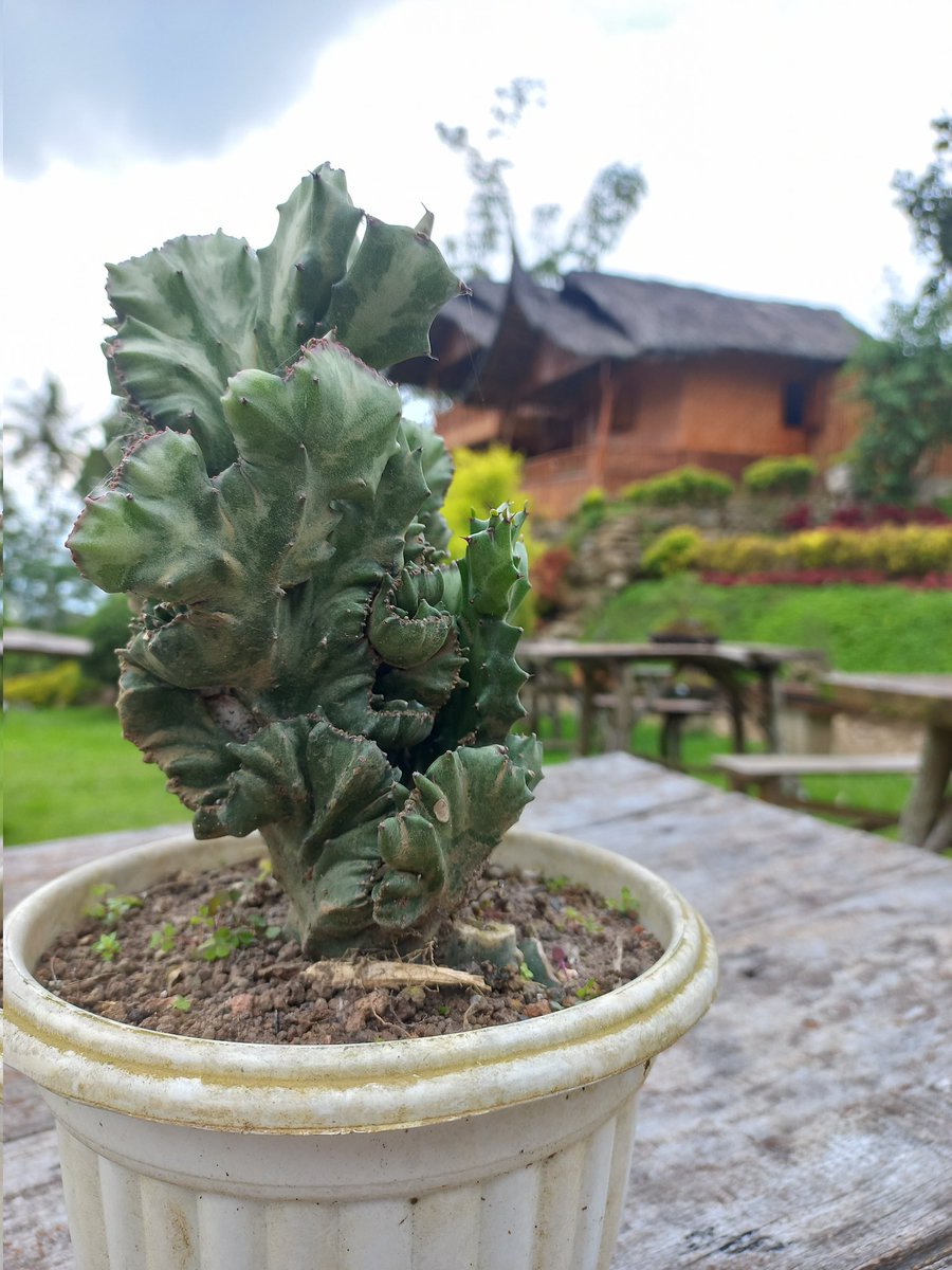 Menikmati senandung Alam
#green punago #nature #park 
Subaladuang Sei. Kamuyang Limapuluh Kota SumBar Indonesia