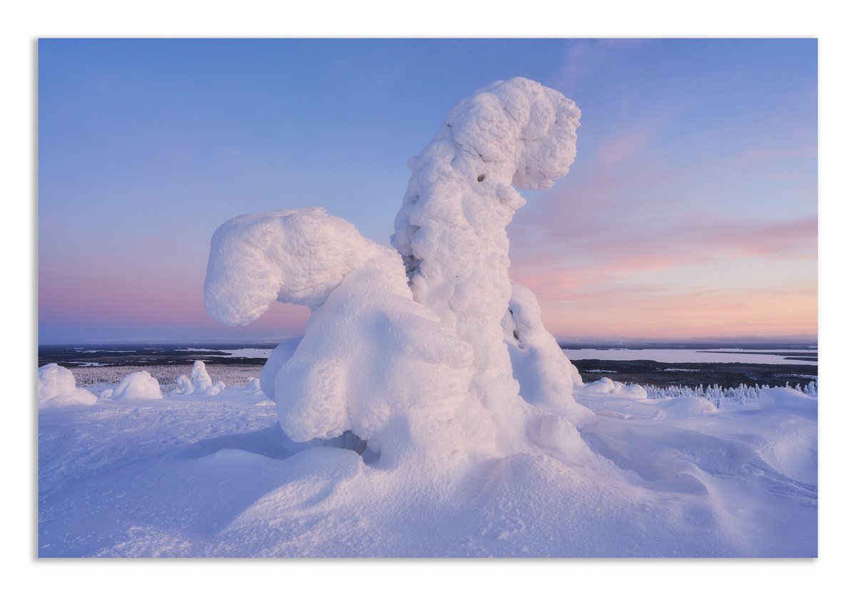 Bowing down at sunset.
.
#finland #finlandnature #sonya7rv #sonyalpha #bealpha #photographylovers #photooftheday 
.
1/10 sec, f / 11, ISO 100, 24mm (SEL24F14GM)
.
📅 24 Jan 2023 🇫🇮