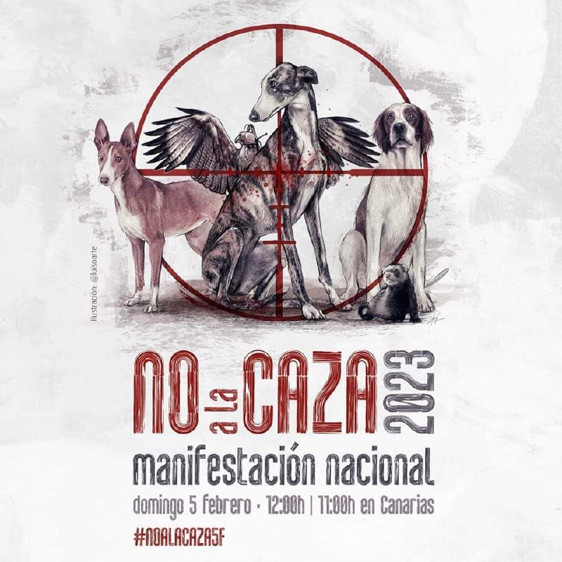 ¡Hola! Recordaros que el domingo 5 de febrero estaremos apoyando la manifestación contra la caza organizada por <a href="/plataforma_NAC/">Plataforma NAC #NoALaCaza</a> 

Se ha convocado en muchas ciudades de España, busca la tuya y no faltes!!!

En Málaga, nos vemos a las 12:00h en Plaza de la Marina.

#NoAlaCaza5F