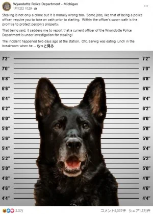 容疑者は『警察犬』！？警察官が置いていたサンドイッチが盗まれる事件が発生！