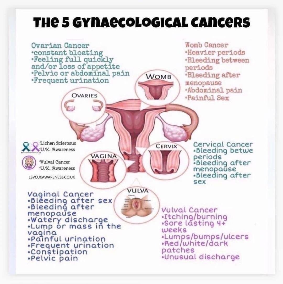One in three UK women wrongly believe their smear test can detect all gynaecological cancers.
Cervical screening is only looking at the health of your cervix, so please know the signs and symptoms of all 5
