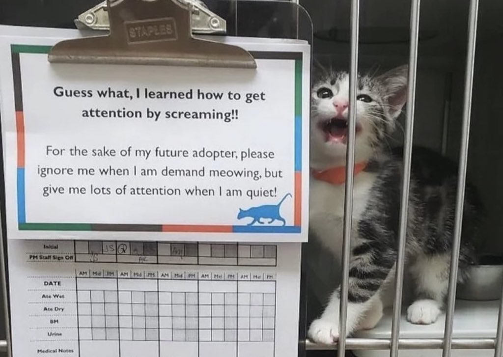 RllyJesse🔞 tweet media