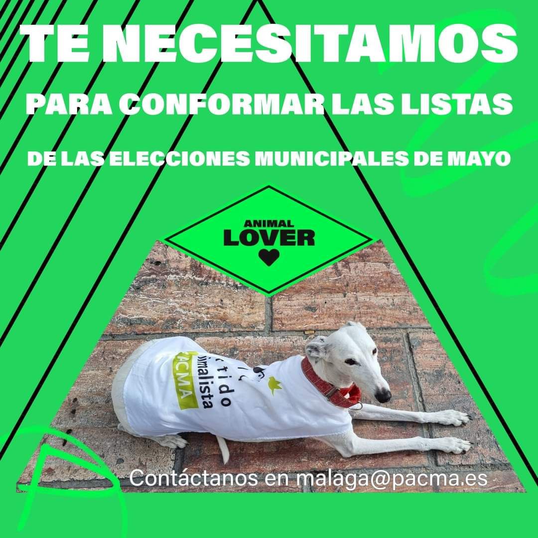 Necesitamos candidatas/os para la lista de PACMA a las elecciones municipales de mayo en Málaga, Rincón de la Victoria, Mijas y Benalmádena. 

No es necesario que estés afiliada/o ni empadronada/o en estos municipios. 

Sí te animas, escríbenos a malaga@pacma.es.