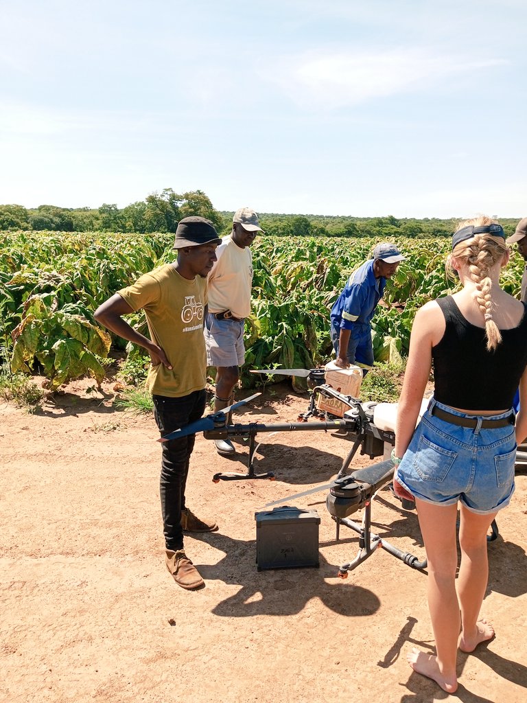 The mission is to stop angular leaf spots in Tobbaco .