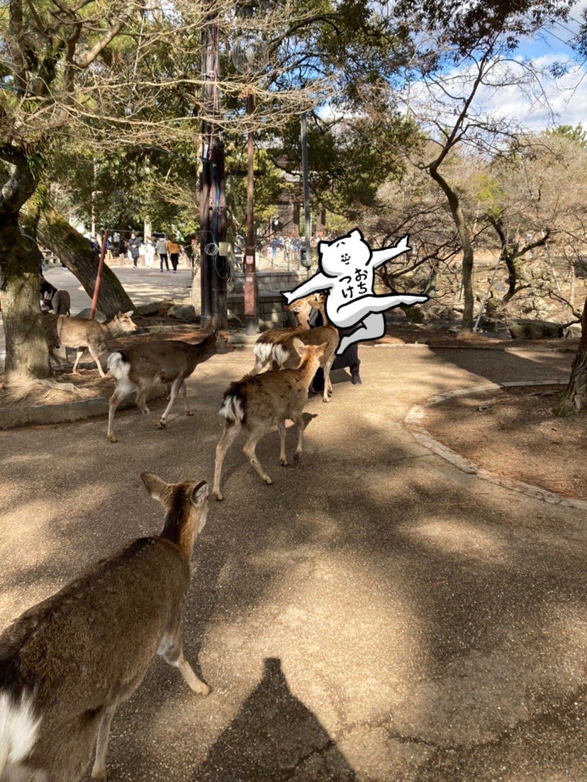 「五重の塔とホウオウ様角生えかけ君鹿に追われる私 」|ほたてぃーの@グッズ通販受付中のイラスト