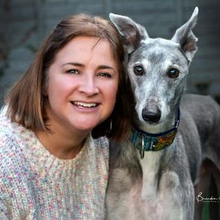 PAWSIreland tweet picture
