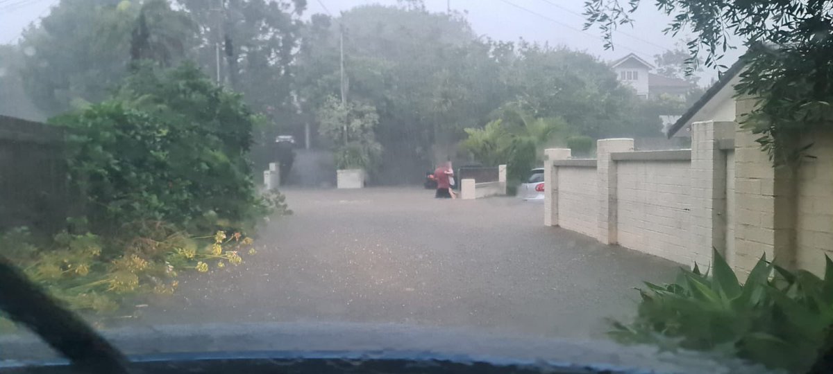 gosemper's tweet photo. @dgh @AklCouncil This. And no one heard a thing. https://t.co/A1a1tqhvWR