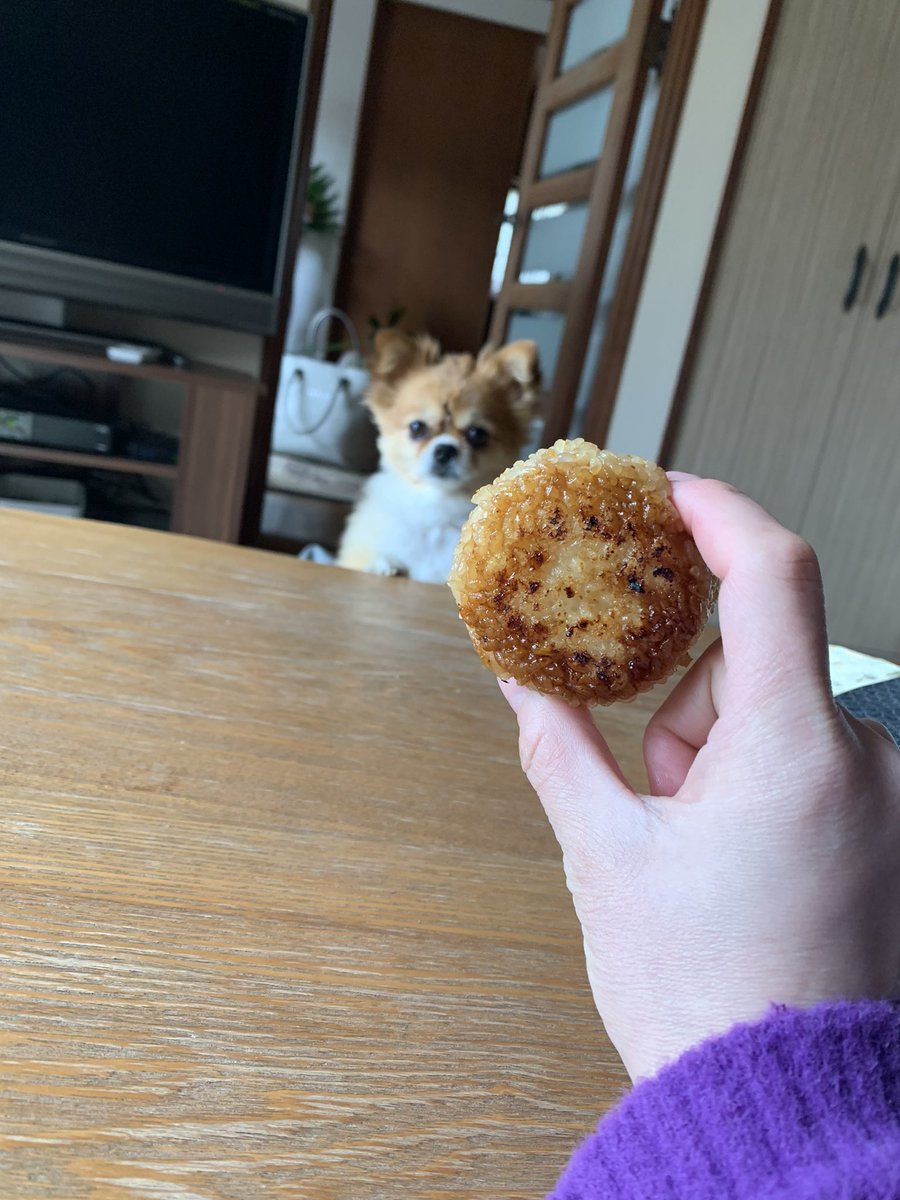 23Manami's tweet photo. イヴと焼きおにぎり笑 https://t.co/Z4RudR8qqo